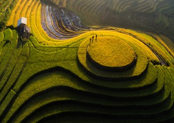 Des rizières en terrasses de Sapa aux temples d’Angkor