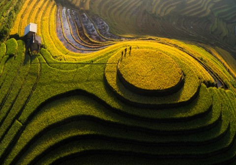 Des rizières en terrasses de Sapa aux temples d’Angkor