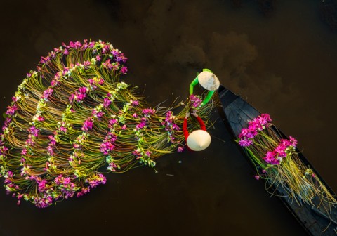  Sur la route des patrimoines, de la baie d’Halong au temple d’Angkor