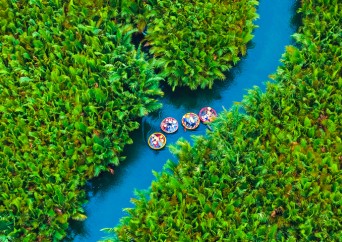 Vietnam pour Familles : Immersion Culturelle et Naturelle