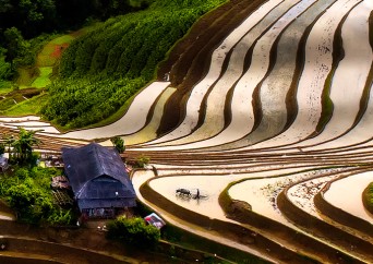 Des rizières en terrasses de Sapa aux temples légendaires d’Angkor