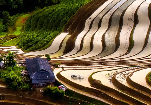 Des rizières en terrasses de Sapa aux temples légendaires d’Angkor
