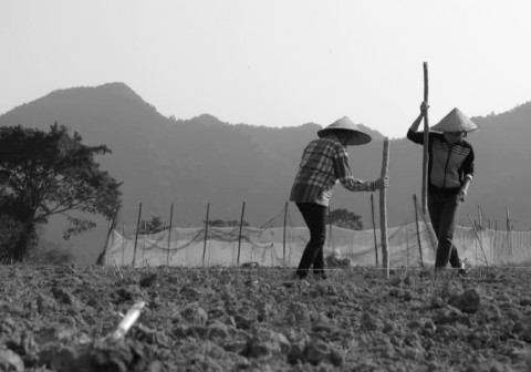 Paysages et Portraits du Nord