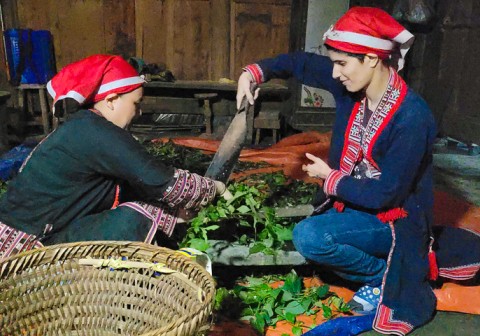 Echappée belle et randonnée dans les rizières en terasse de Sapa