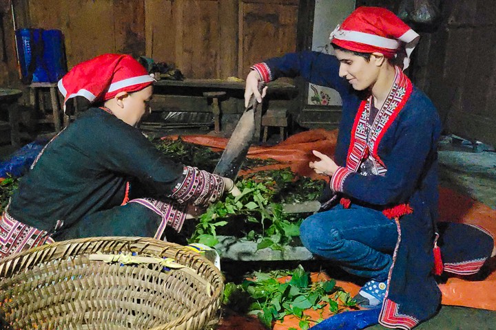 Echappée belle et randonnée dans les rizières en terasse de Sapa