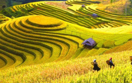 Itinéraire au Vietnam en 2 semaines : Trésors Cachés et Voyage Authentique