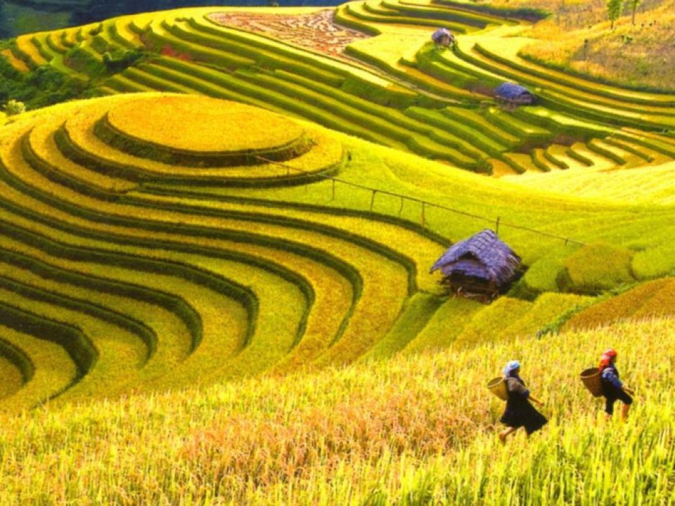 Itinéraire au Vietnam en 2 semaines : Trésors Cachés et Voyage Authentique