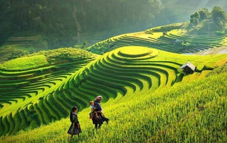 Trekking à Sapa, Vietnam : guide complet pour une expérience inoubliable