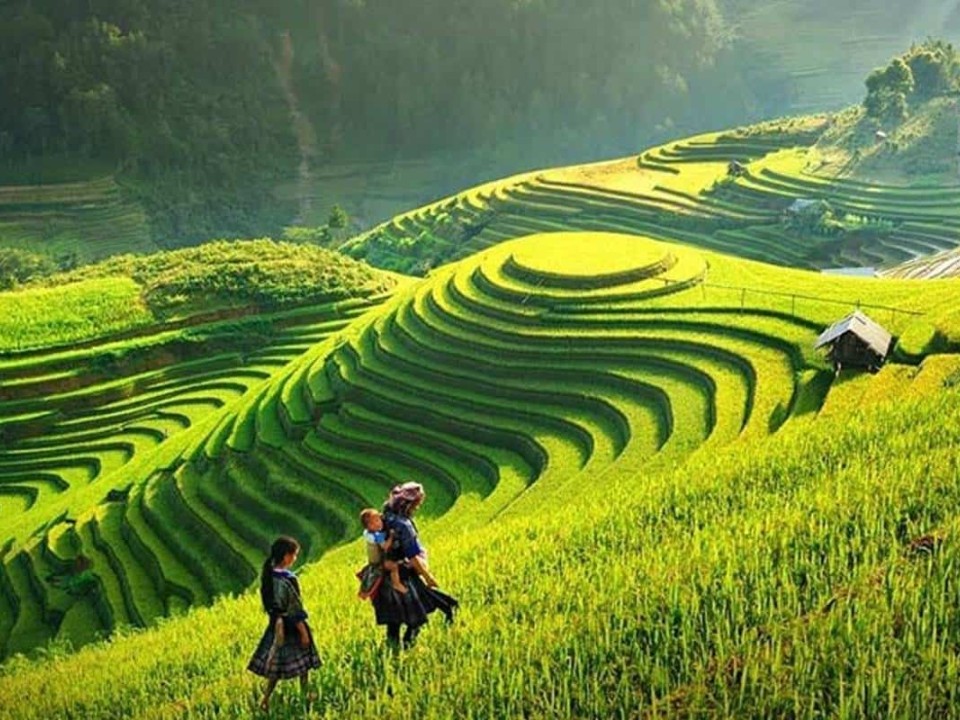 Trekking à Sapa, Vietnam : guide complet pour une expérience inoubliable