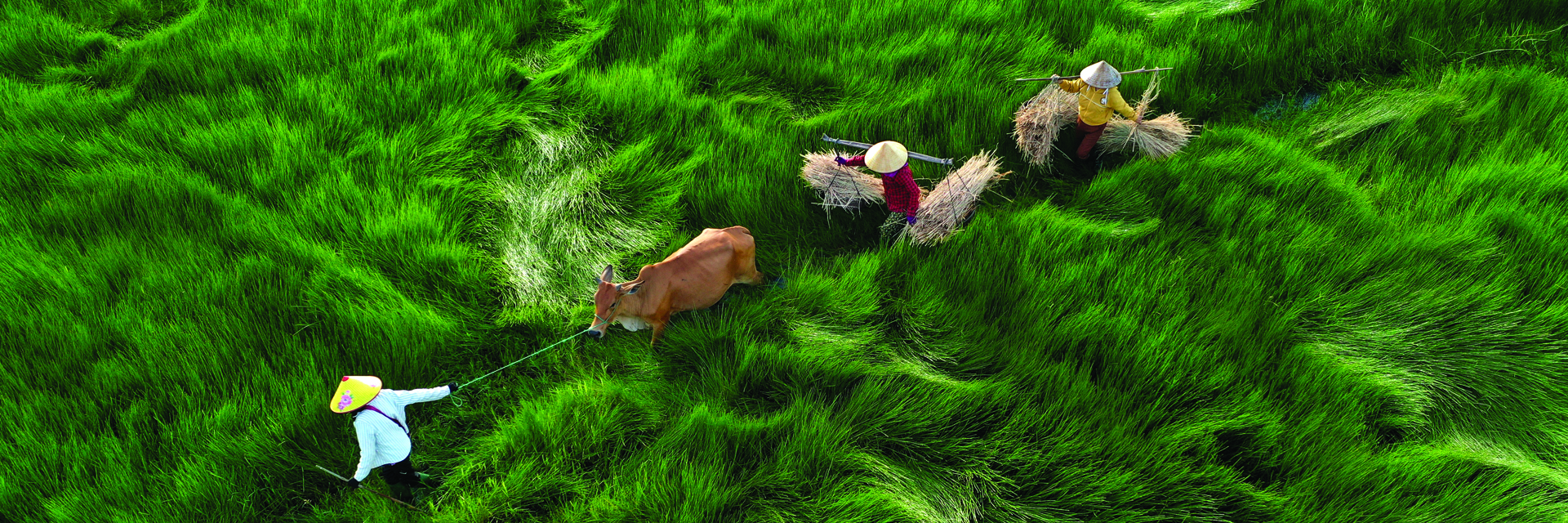 L'esprit de Terres Méconnues 