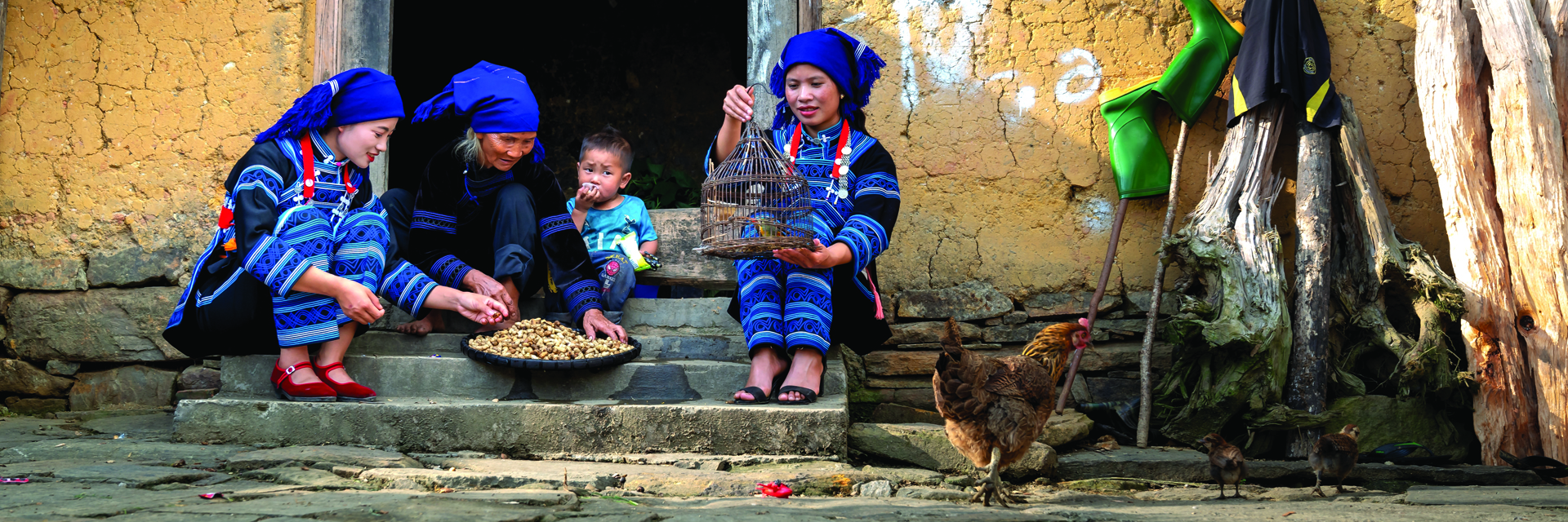 Nos derniers articles de Blog