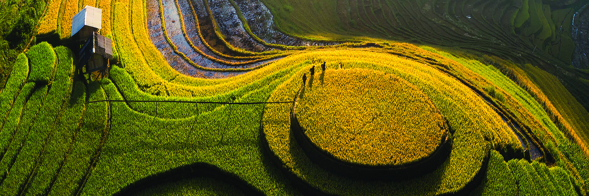 Des rizières en terrasses de Sapa aux temples légendaires d’Angkor