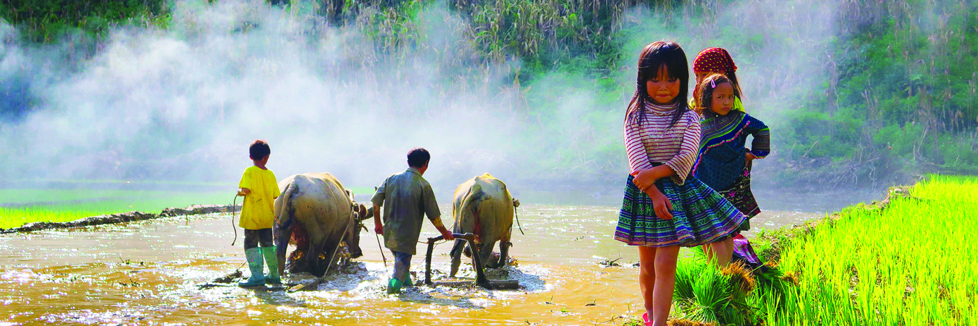 Vietnam Signature – Entre Splendeurs et Traditions