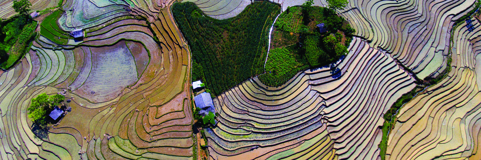 Echappée belle et randonnée dans les rizières en terasse de Sapa
