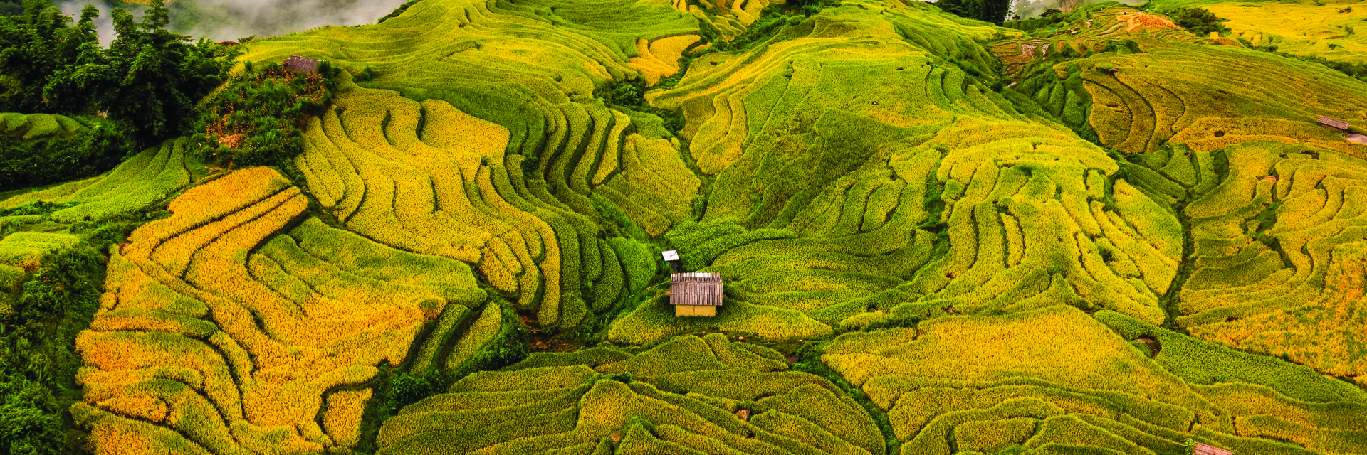 Rencontres, Découvertes et Partages au Nord du Vietnam